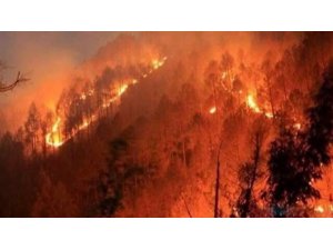 İtfaiyeden orman yangını uyarı
