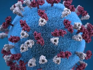 Koronavirüs salgınında can kaybı 5 bin 798'e yükseldi