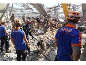 Türk ekiplerin Beyrut Limanı’ndaki arama kurtarma faaliyetleri sürüyor