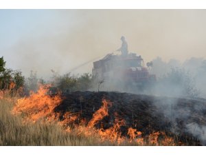 Bulgaristan’da yangınlar nedeniyle 4 ilçede felaket durumu ilan edildi