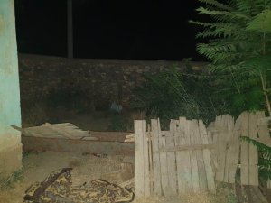 Konya’da evin bahçesinde Hint keneviri ele geçirildi
