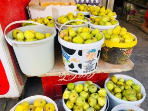 Kızıltepe’nin saklı cenneti Ğurs Vadisi incirleri çarşı pazarda