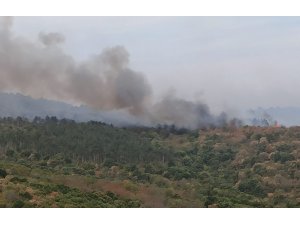 Yangın 15 kilometre uzunluğunda alanda etkili oluyor, helikopter müdahalesi başladı