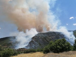 Elazığ’daki orman yangını kontrol altına alınmaya çalışılıyor
