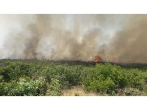 Elazığ’daki orman yangını kontrol altına alındı