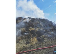 Kars’ta ot yangını! 10 ton ot yanarak kül oldu