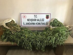 Nevşehir’de 2 kilo esrar ele geçirildi