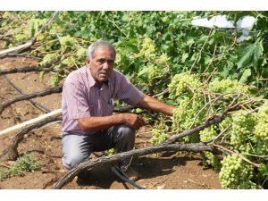 Manisa’da çiftçileri sel felaketi vurdu