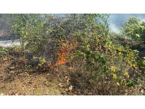 Düzce’de orman yangını: 4 hektar alan kül oldu