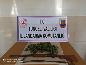 Tunceli’de narkotik operasyonu: 1 gözaltı