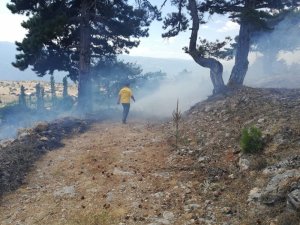 Günyazı Köyü’nde orman yangını