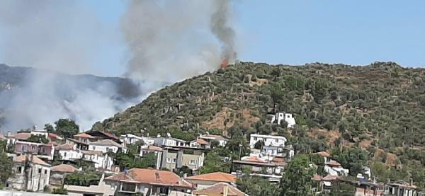 Milas'ta yerleşim yerleri yakınında orman yangını