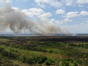 Sazlık yangınında 200 hektarlık alan zarar gördü