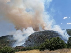 Doğu Anadolu Bölgesi’nde 246 hektar alan yandı