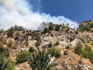 Söke’deki orman yangınına Büyükşehir ekipleri müdahale ediyor