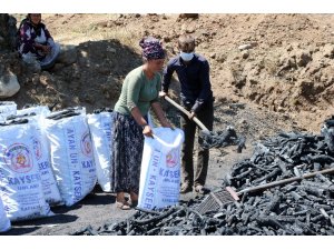 Yozgat’ta mevsimlik işçilerin zorlu ‘mangal kömürü’ mesaisi