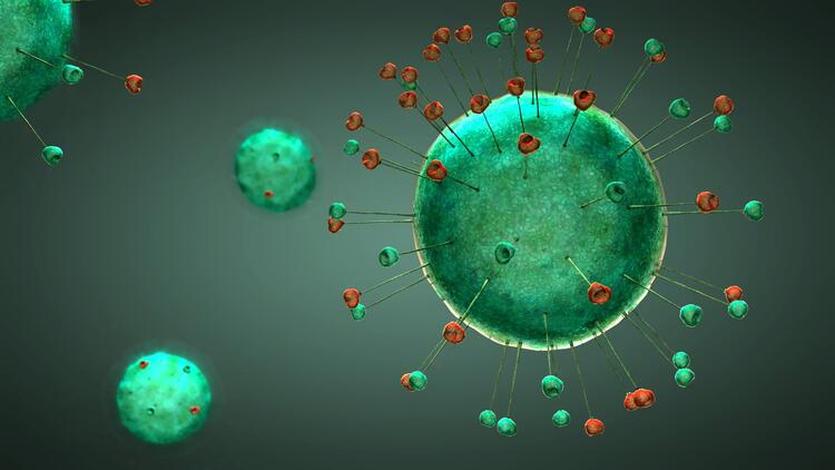 ABD, corona virüsü geliştirmeye başladı