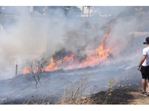 Sinop’ta ardışık yangınlar
