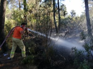 Aydos Ormanı’ndaki yangın kontrol altına alındı