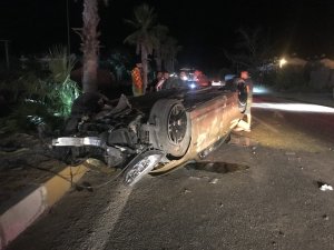 Lüks otomobil palmiye ağacını yıktı