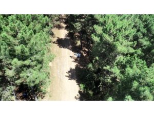 Pendik’te Aydos Ormanında dronelu mangal denetimi