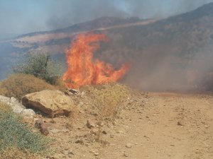 Aydın Büyükşehir Belediyesi’nden Sarıkemer’de çıkan orman yangınına müdahale