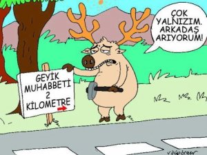 Peki, geyik muhabbeti nedir? Bu deyim nasıl ortaya çıktı?