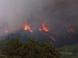 Adana Valisi Süleyman Elban'dan, Kozan'daki orman yangınıyla ilgili açıklama