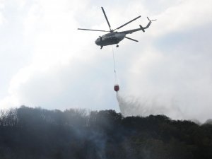 Orman yangını şüphelisi: Yere düşen çakmağın sıcaktan patlamasıyla yangın çıktı