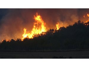 2 mahalleyi tehdit eden yangın 6 saattir kontrol altına alınamadı