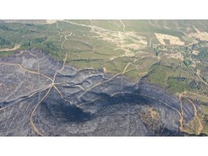 Uşak’taki orman yangınında 100 hektar alan zarar gördü