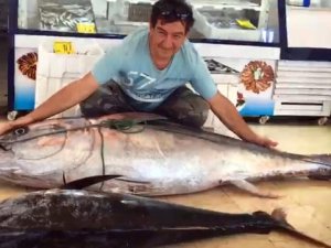 2 metre 17 santim uzunluğunda 141 kilo olan balığı görenler şaşkınlıklarını gizleyemedi.