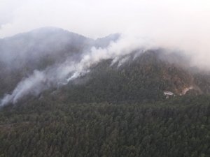 Osmaniye’deki orman yangınını söndürme çalışmaları devam ediyor