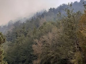 Osmaniye’deki orman yangınını söndürme çalışması devam ediyor