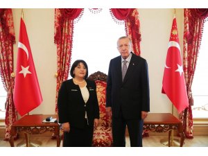 Cumhurbaşkanı Erdoğan, Azerbaycan Milli Meclis Başkanı’nı kabul etti