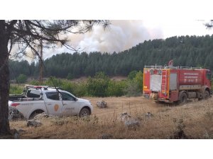Amanoslar’daki orman yangını kontrol altına alındı