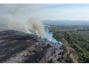 Kızılırmak Deltası’nda çıkan yangınla ilgili soruşturma sürüyor
