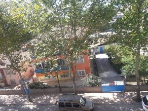 Osmancık’ta ağaçlar susuzluktan kuruyor