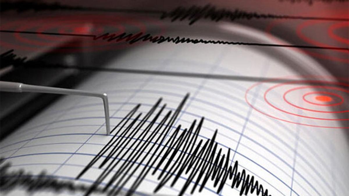 Malatya Hekimhan'da korkutan deprem