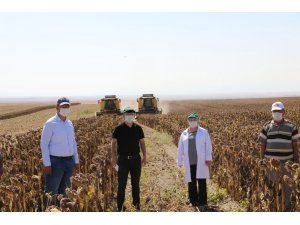 Eskişehir tohumluk ayçiçeği üretiminde Türkiye ikincisi