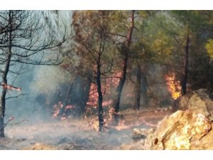 Milas Ören’de orman yangını başladı