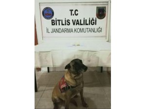 Bitlis’te Metanfetamin ele geçirildi