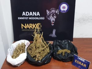Adana’da 23 torbacı tutuklandı