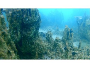 800 bin yıllık geçmişe sahip Van Gölü’nün derinliklerindeki kalıntılar gün yüzüne çıkartılıyor