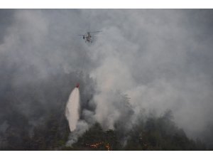 Alev alan otomobil orman yangınına sebep oldu