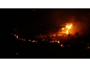 Elazığ’da orman yangını, müdahale sürüyor