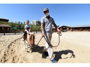 Altınköy Açık Hava Müzesi içerisinde açılan "At Çiftliği"ne yoğun ilgi