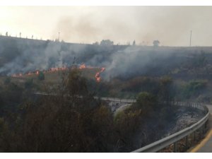 Kocaeli’nin 11 bölgesinde orman yangınları çıktı