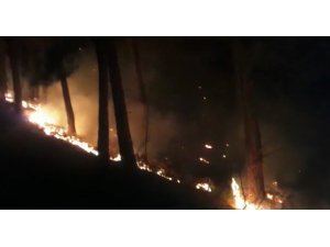 İzmir’deki orman yangını sürüyor