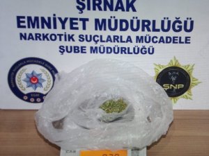 Şırnak’ta kaçakçılık operasyonları: 28 gözaltı